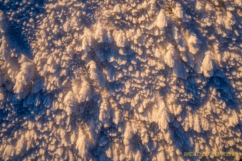Raufrost auf einer Schneedecke