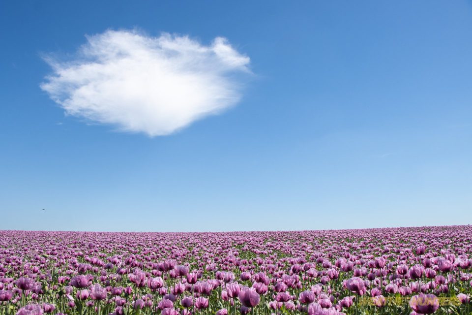 bluesky and cloud