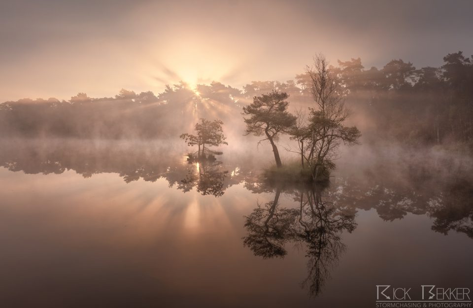 Morning magic