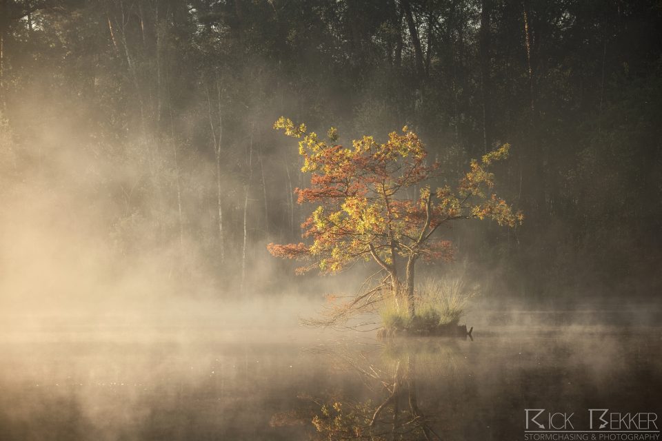 Morning magic