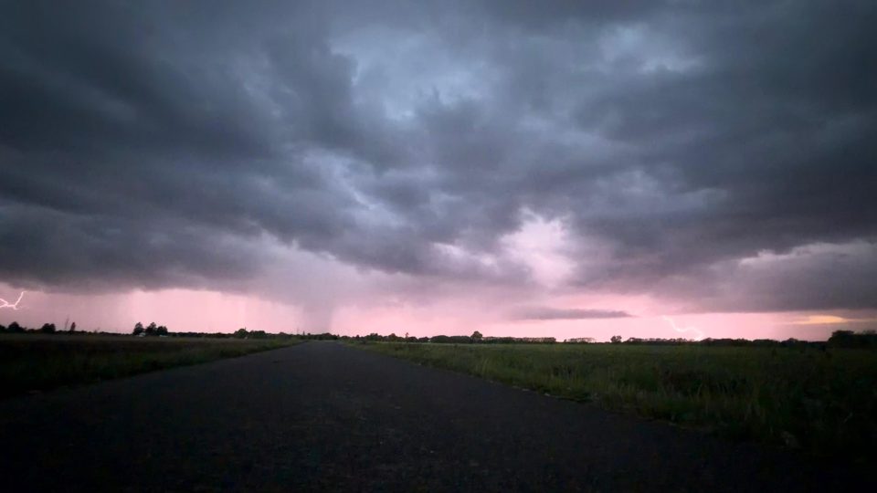 Einzelzelle – Foto von danny.bolze