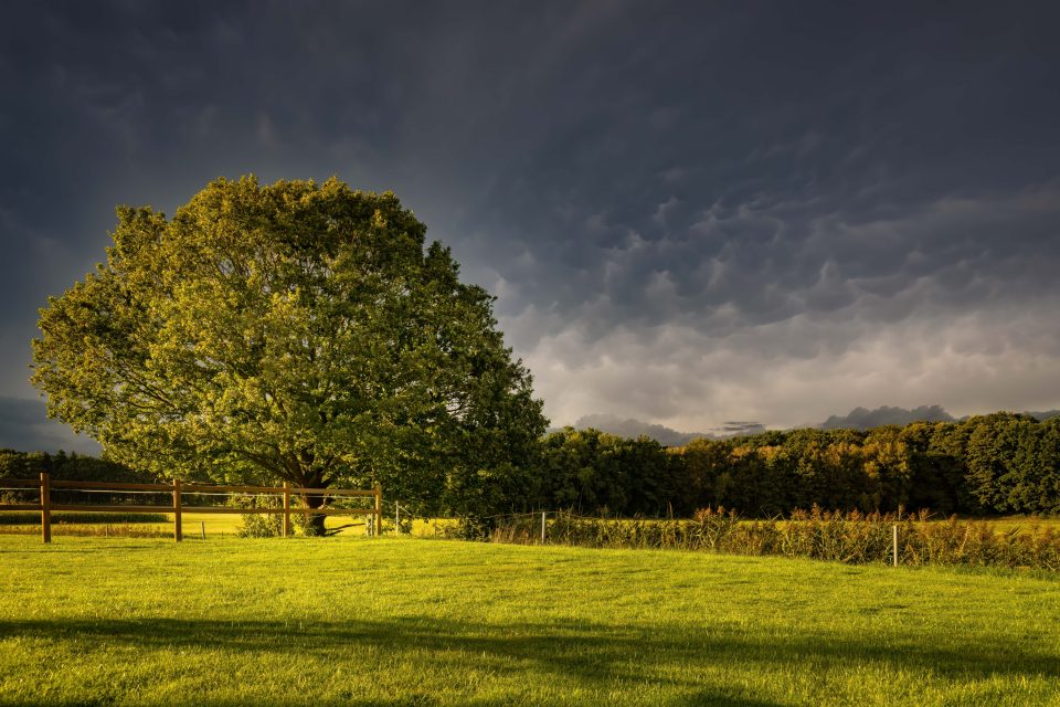Mammatus – Foto von Christoph Schaarschmidt