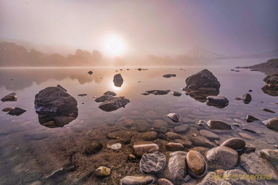 Sonnenaufgang und Nebel an der Elbe