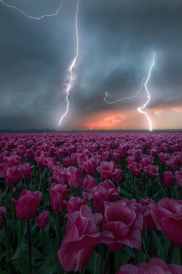 Springtime Strikes